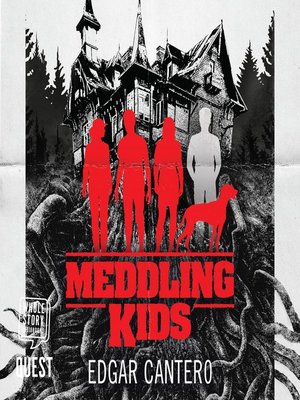 cover image of Meddling Kids